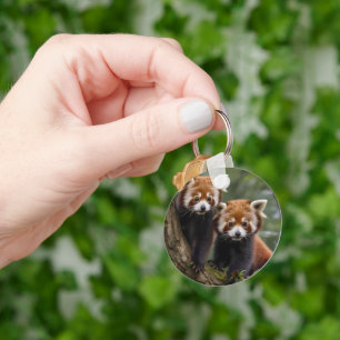 Two Baby Red Panda Bears In A Tree, Key Ring