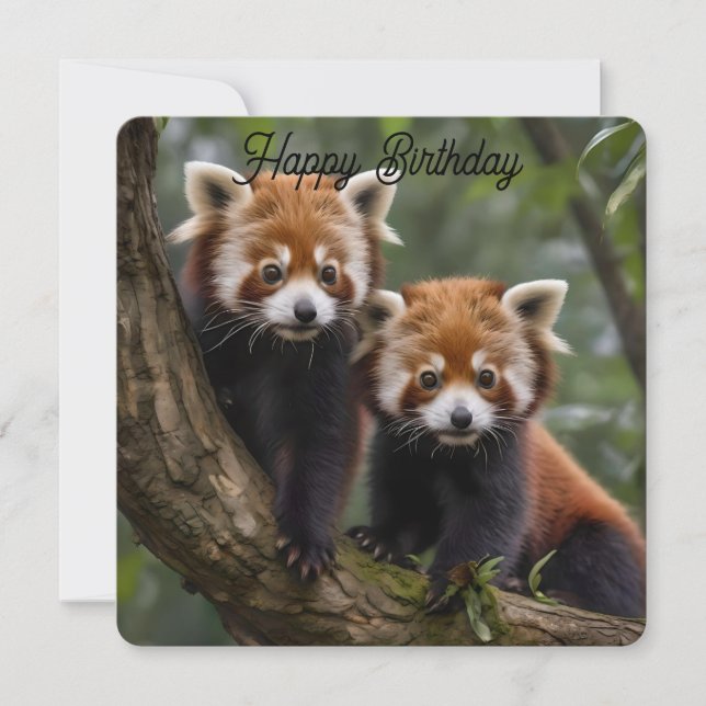 Two Baby Red Pandas, Flat Birthday Card (Front)