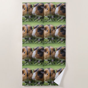 Two Baby Tortoiseshell Guinea Pigs, Beach Towel