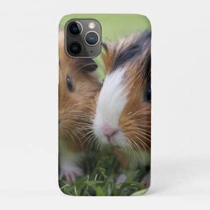 Two Baby Tortoiseshell Guinea Pigs, Case-Mate iPhone Case
