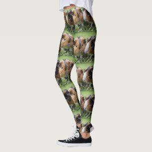Two Baby Tortoiseshell Guinea Pigs, Leggings