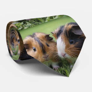 Two Baby Tortoiseshell Guinea Pigs, Tie