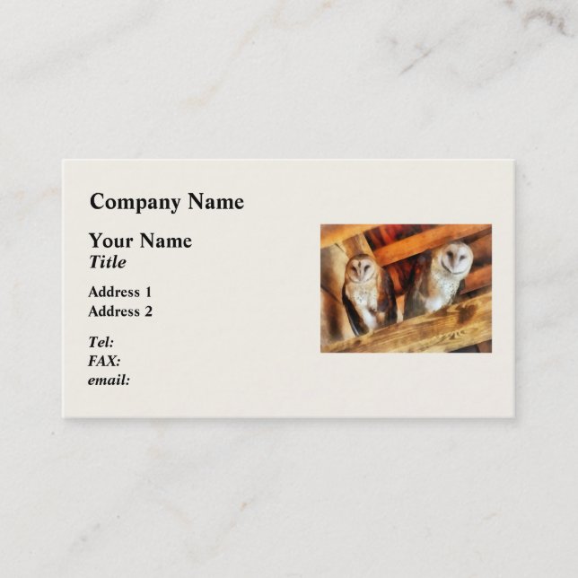 Two Barn Owls Business Card (Front)