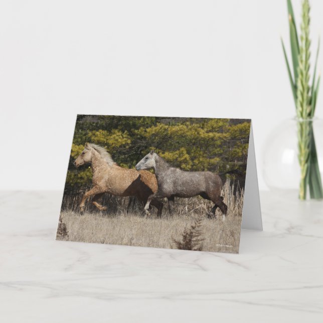 Two Bashkir Curly Horses Running Together Card (Front)