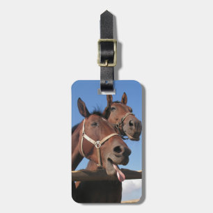 Two Bay Horses, Horse Stick Out Tongue Luggage Tag