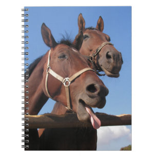 Two Bay Horses, Horse Sticking Out Tongue Spiral Notebook