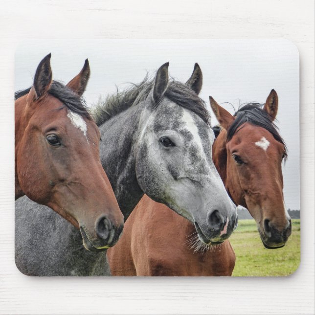 Two Bays and a Grey, Three Horses in a Row Mouse Pad (Front)