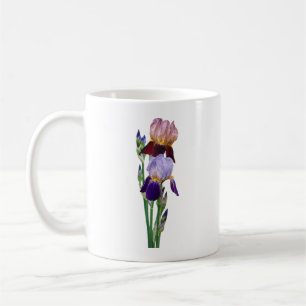 Two Bearded Irises One Maroon One Purple Coffee Mug