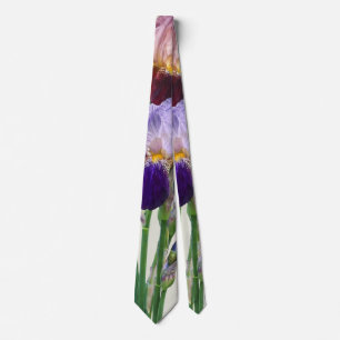 Two Bearded Irises One Maroon One Purple Tie