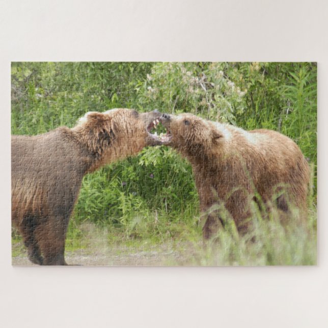 Two bears fighting at Katmai NP Jigsaw Puzzle (Horizontal)