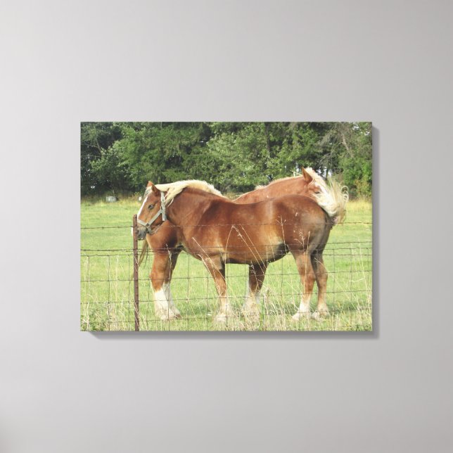 Two Beautiful Amber Horses Next to a Farmhouse Pho Canvas Print (Front)