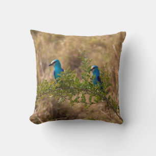 Two Beautiful Blue Birds on a Branch Cushion