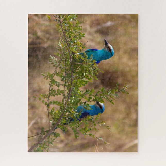 Two Beautiful Blue Birds on a Branch Jigsaw Puzzle (Vertical)