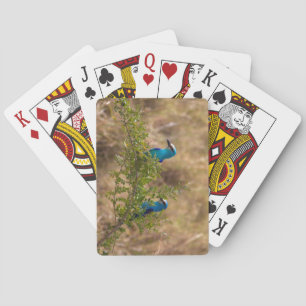 Two Beautiful Blue Birds on a Branch Playing Cards