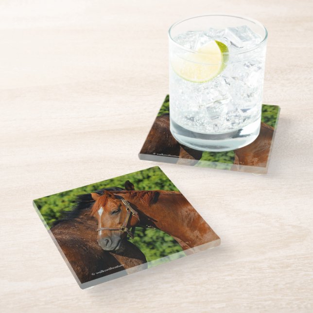 Two Beautiful Chestnut Horses in the Sun Glass Coaster (Angled)