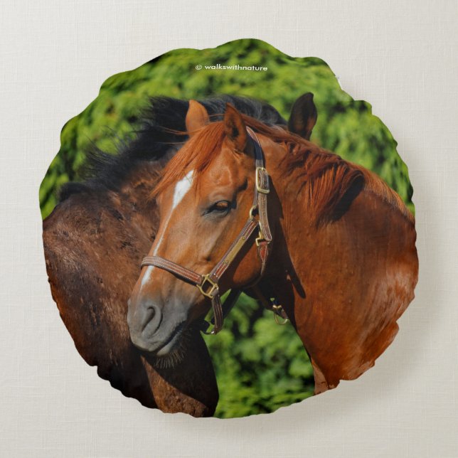 Two Beautiful Chestnut Horses in the Sun Round Cushion (Back)