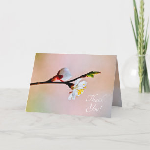 Two Beautiful Japanese Apricot Flowers Thank You Card