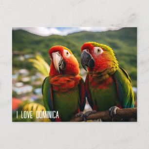 TWO BEAUTIFUL PARROTS FROM DOMINICA  POSTCARD