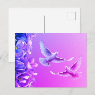 Two Beautiful White Doves Postcard