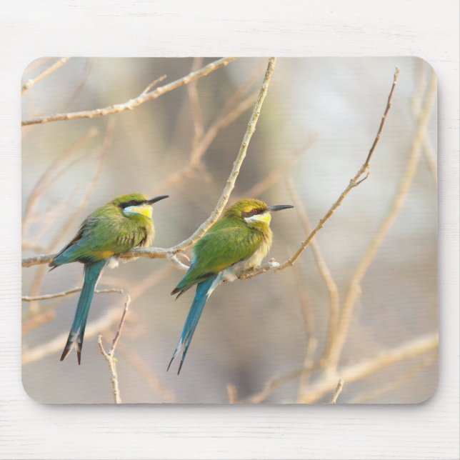 Two Bee-eaters Mouse Pad (Front)