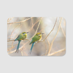 Two Bee-eaters Name Tag