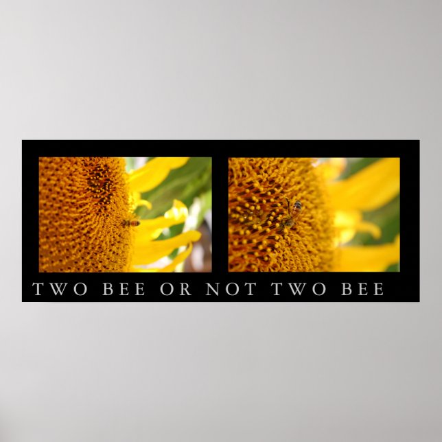 Two Bee or Not Two Bee Poster (Front)