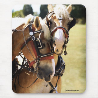 Two Belgian Draught   Horses Mouse Pad