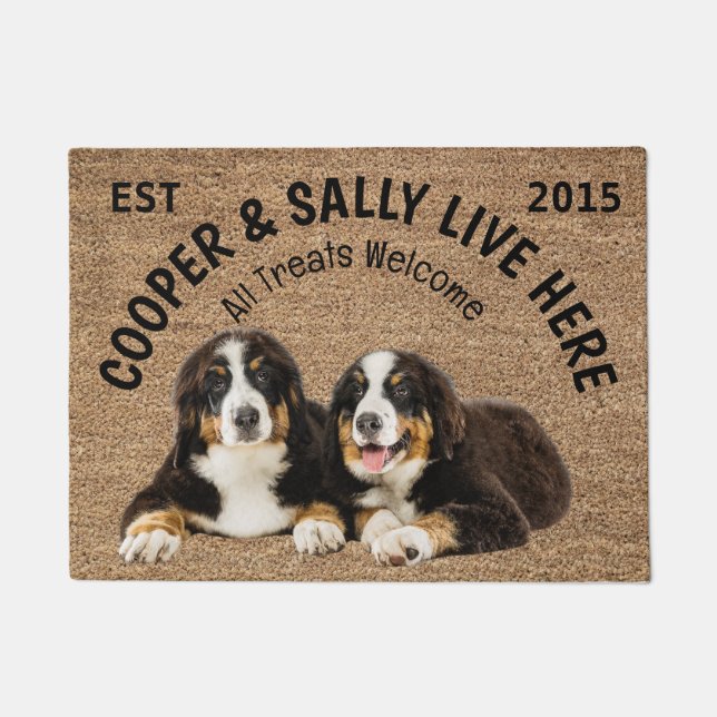 Two Bernese Mountain Dogs Personalised Dog Lover   Doormat (Front)