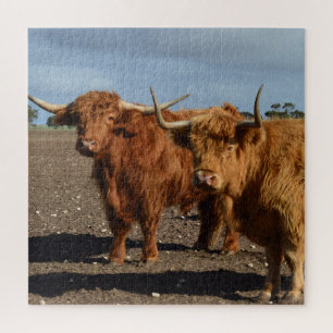 Two Big Brown Highland Cows Photography, Jigsaw Puzzle