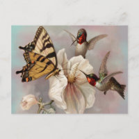 Two Birds & A Butterfly Sharing a Meal