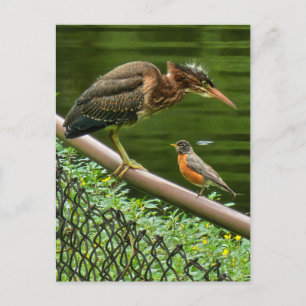 Two birds holiday postcard
