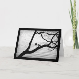 Two Birds - Sympathy Card