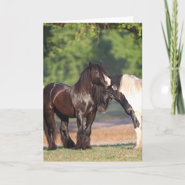 Two Black and White Gypsy Vanners Meeting Card (Front)