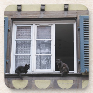 Two Black Cats at Window Coaster
