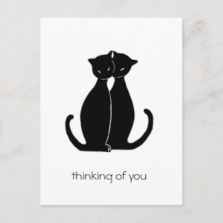 two black cats postcard