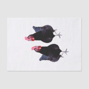 Two Black Chickens, Tissue Paper