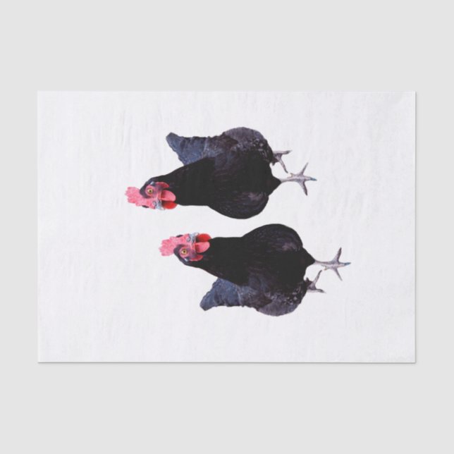 Two Black Chickens, Tissue Paper (Front)