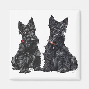 Two Black Scottish Terriers Magnet