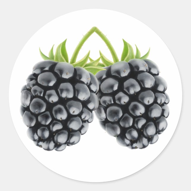 Two blackberries classic round sticker (Front)