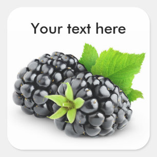 Two blackberries square sticker