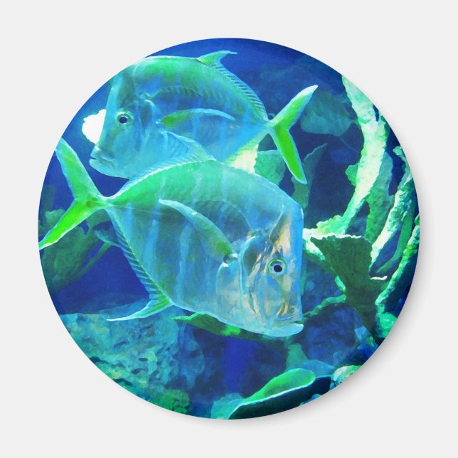 Two Blue and Turquoise Tropical Fish Magnet (Front)