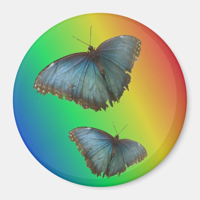Two Blue Morpho Butterflies Rainbow Magnet (Front)