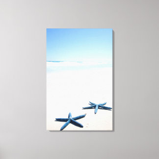 Two blue starfish at water's edge on tropical canvas print
