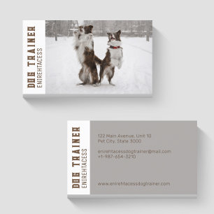 Two Border Collies Dog Trainer Business Card