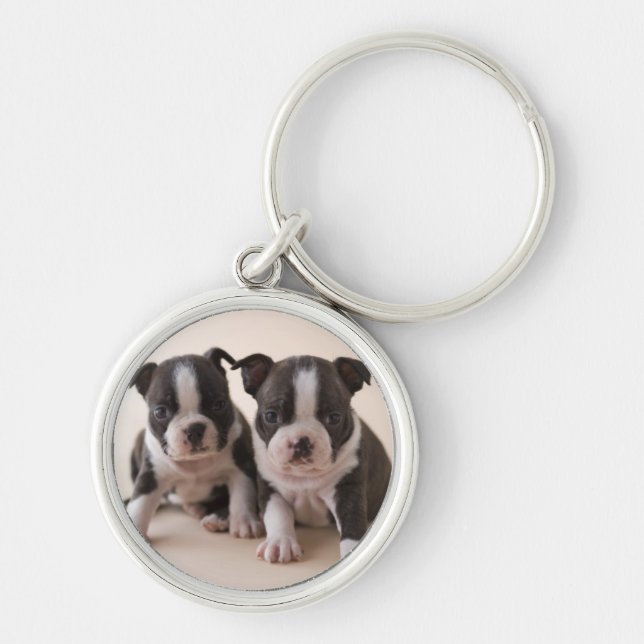 Two Boston Terrier Puppies Key Ring (Front)