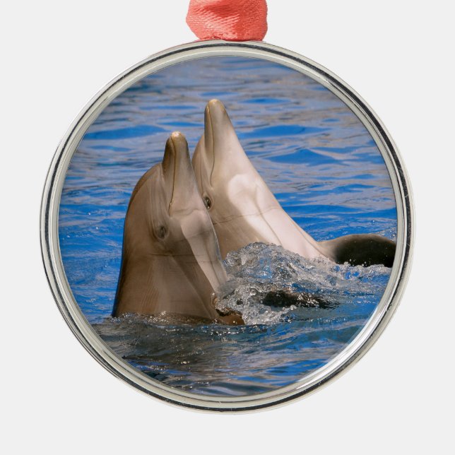 Two bottlenose dolphins metal tree decoration (Front)