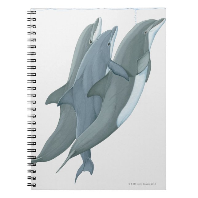 Two Bottlenosed Dolphins Spiral Notebook (Front)