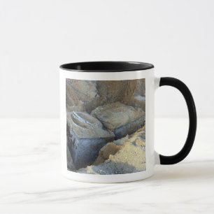 Two box-type devices packed mug