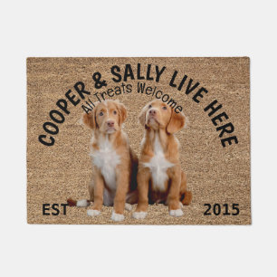 Two Brittanys Personalised Dog Lover Doormat