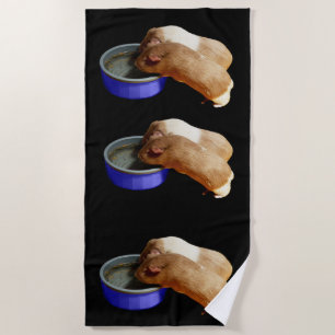 Two Brown And White Guinea Pigs, Beach Towel